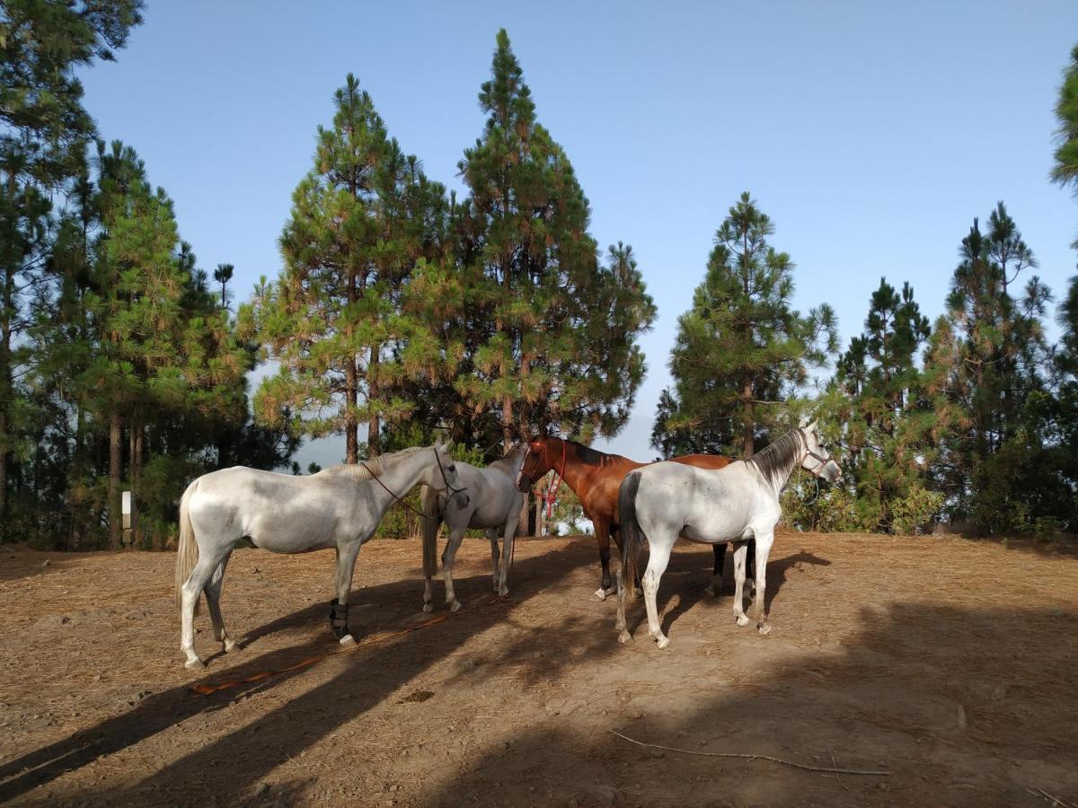Finca Rural House Tenerife Relax And Enjoy ซานตา เออร์ซูลา ภายนอก รูปภาพ