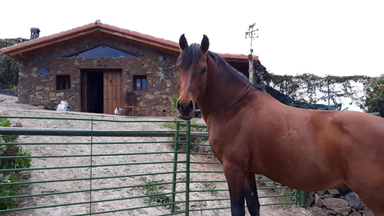 Finca Rural House Tenerife Relax And Enjoy ซานตา เออร์ซูลา ภายนอก รูปภาพ