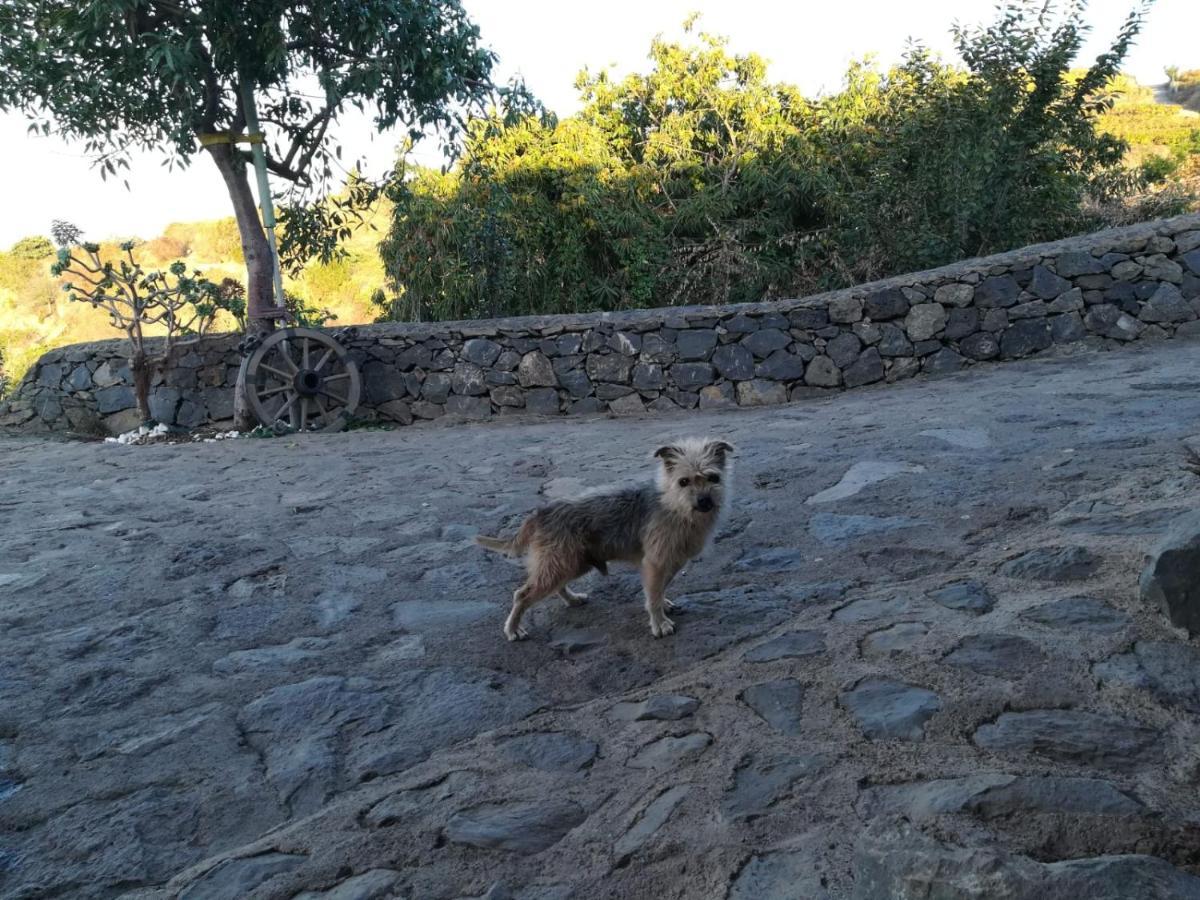 Finca Rural House Tenerife Relax And Enjoy ซานตา เออร์ซูลา ภายนอก รูปภาพ