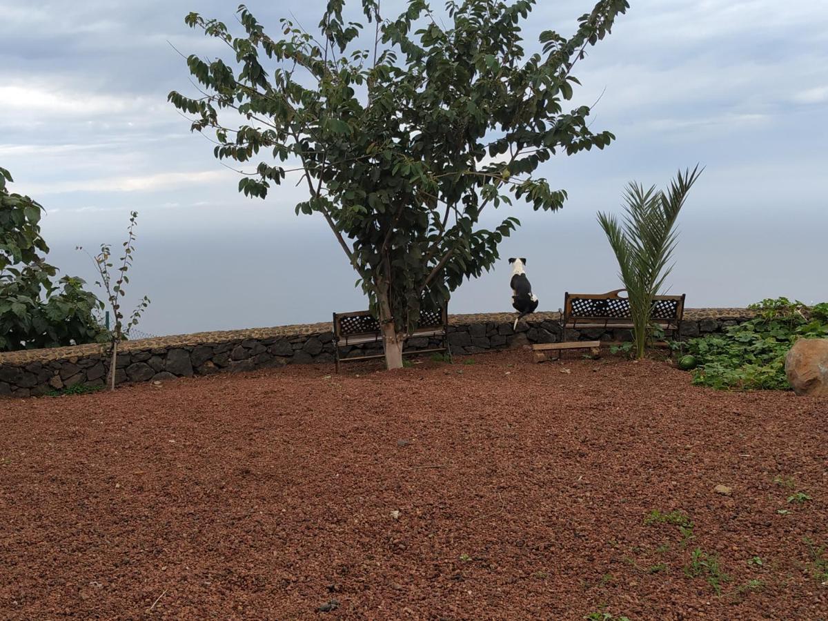 Finca Rural House Tenerife Relax And Enjoy ซานตา เออร์ซูลา ภายนอก รูปภาพ