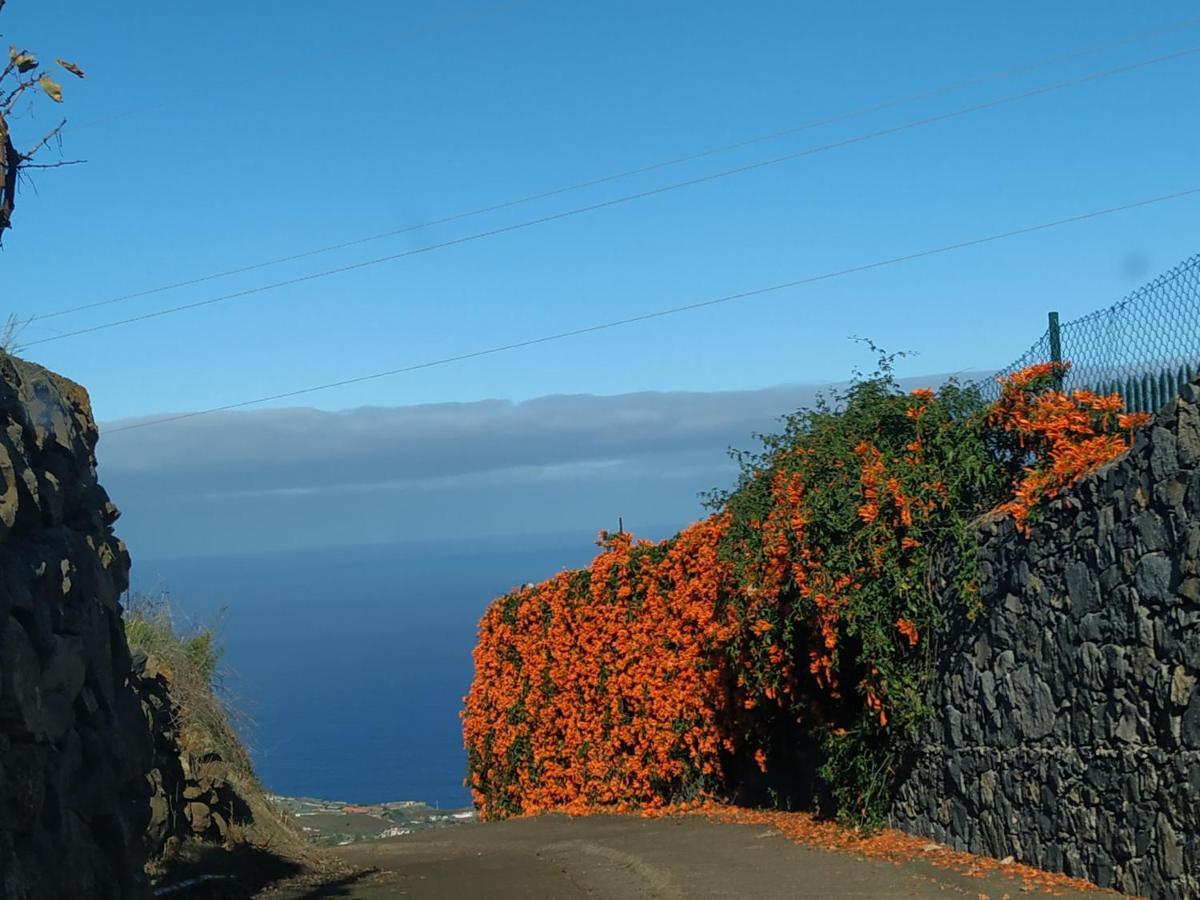 Finca Rural House Tenerife Relax And Enjoy ซานตา เออร์ซูลา ภายนอก รูปภาพ