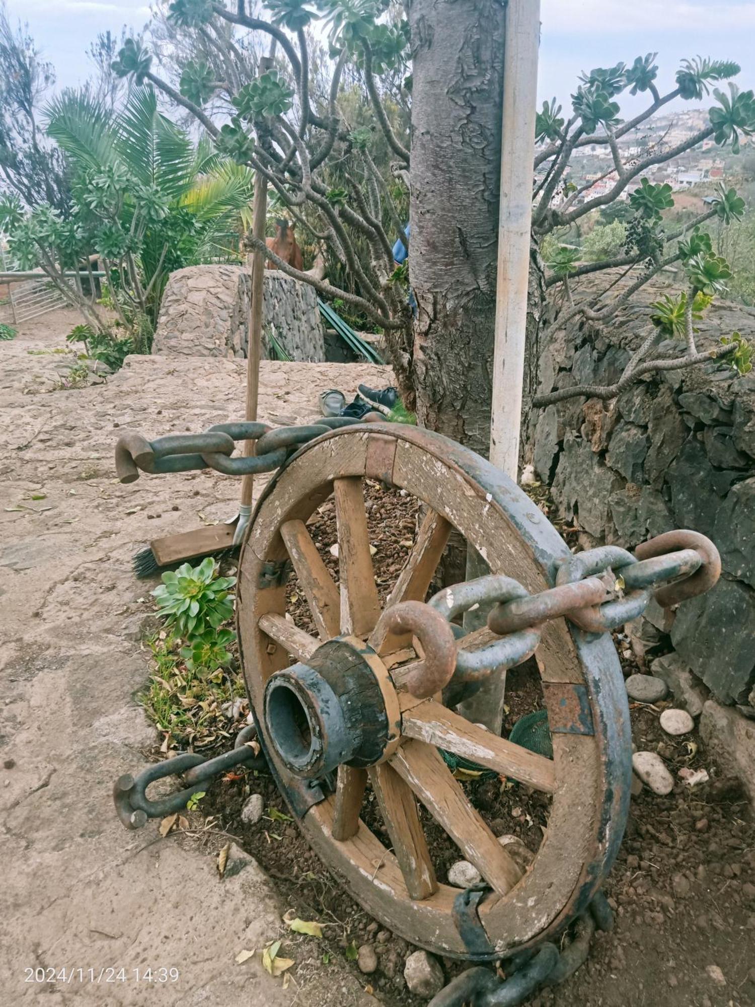 Finca Rural House Tenerife Relax And Enjoy ซานตา เออร์ซูลา ภายนอก รูปภาพ