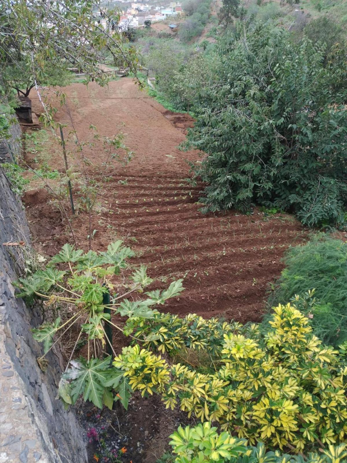 Finca Rural House Tenerife Relax And Enjoy ซานตา เออร์ซูลา ภายนอก รูปภาพ