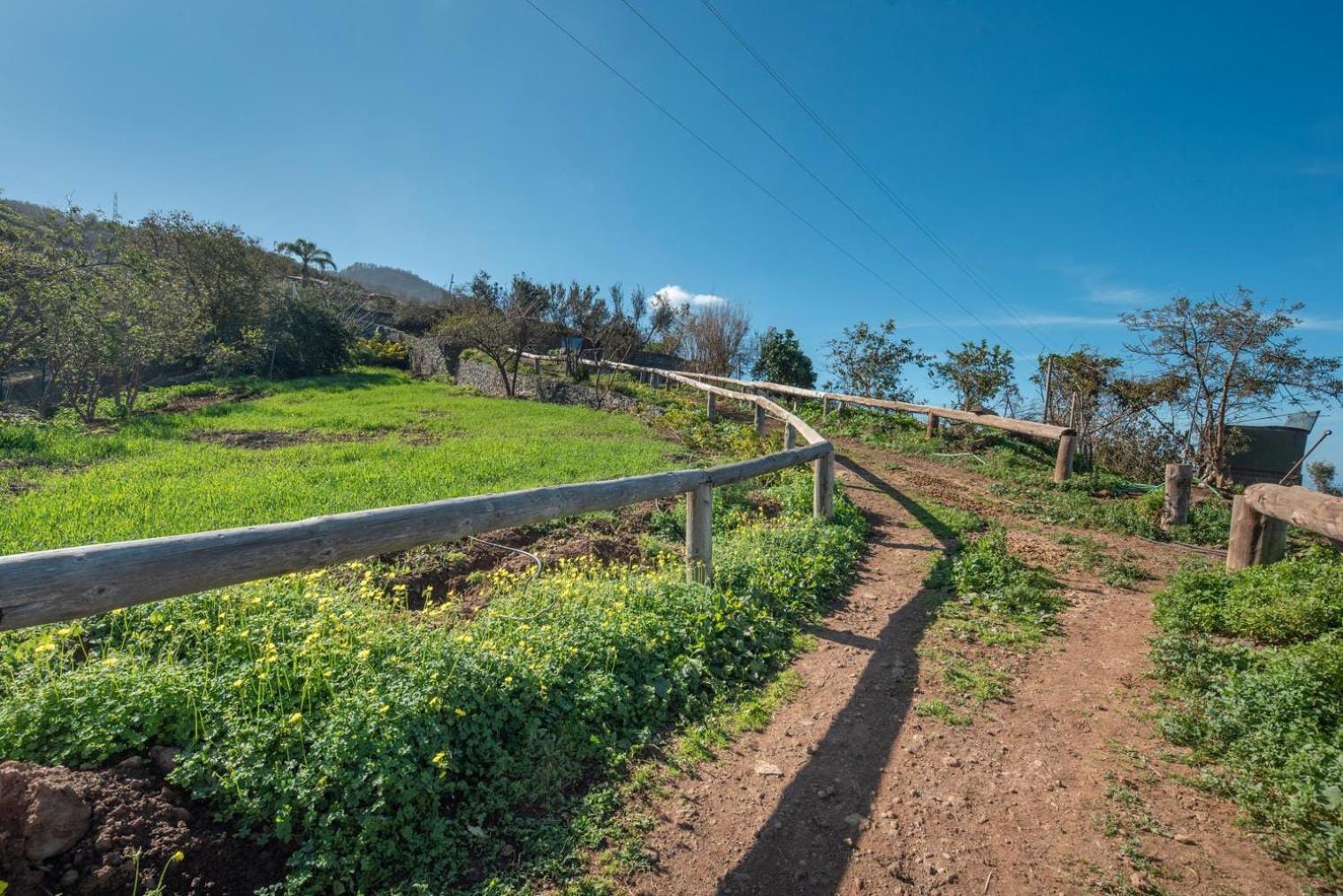 Finca Rural House Tenerife Relax And Enjoy ซานตา เออร์ซูลา ภายนอก รูปภาพ