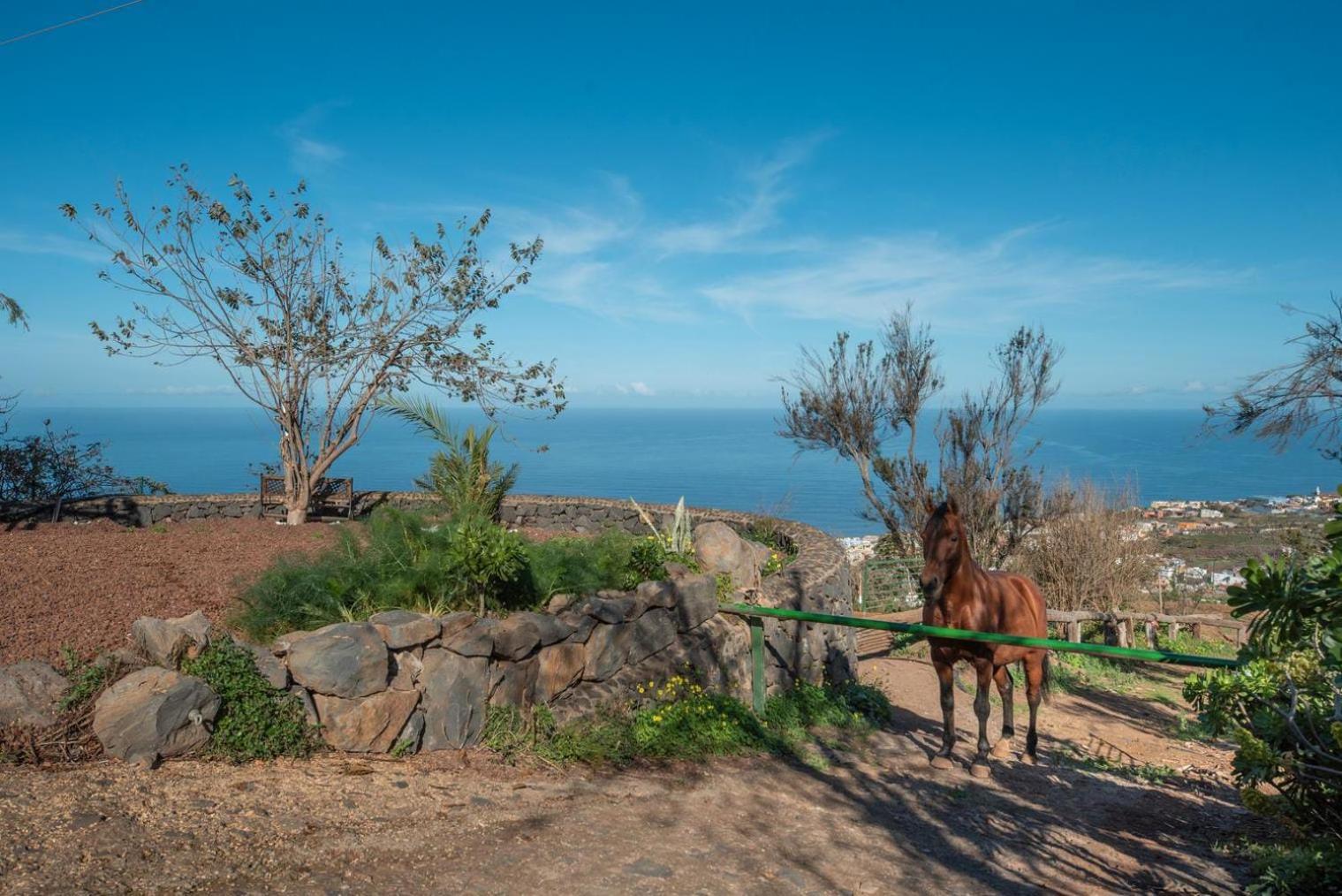 Finca Rural House Tenerife Relax And Enjoy ซานตา เออร์ซูลา ภายนอก รูปภาพ