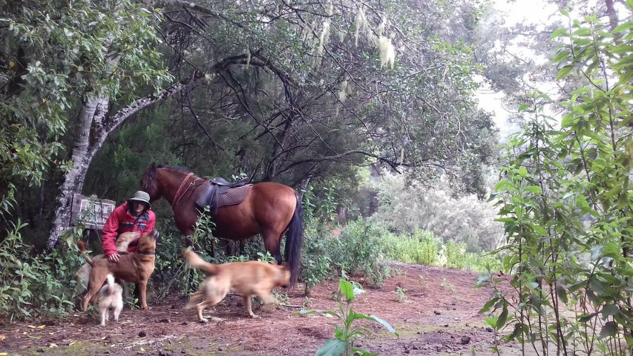 Finca Rural House Tenerife Relax And Enjoy ซานตา เออร์ซูลา ภายนอก รูปภาพ