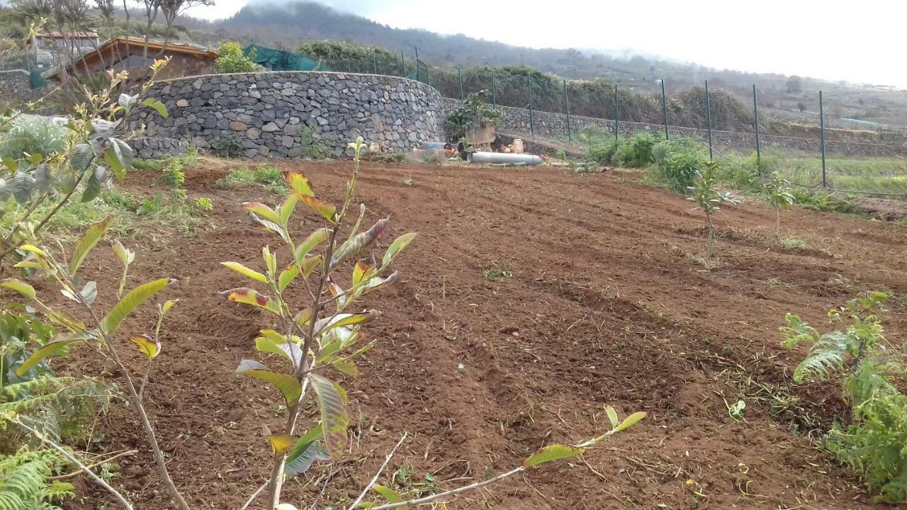 Finca Rural House Tenerife Relax And Enjoy ซานตา เออร์ซูลา ภายนอก รูปภาพ