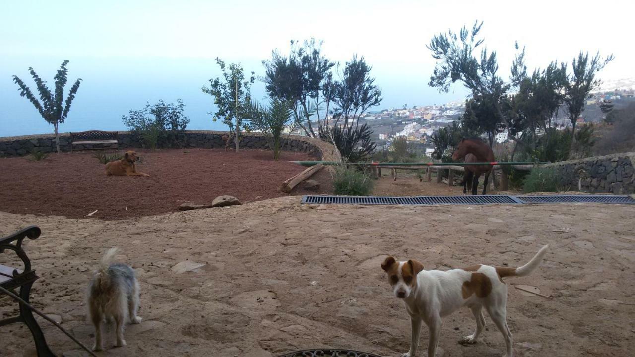 Finca Rural House Tenerife Relax And Enjoy ซานตา เออร์ซูลา ภายนอก รูปภาพ